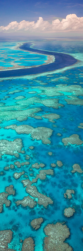 Hardy Reef Photos, Hook Reef Photo, Great Barrier Reef - MARK GRAY GALLERY